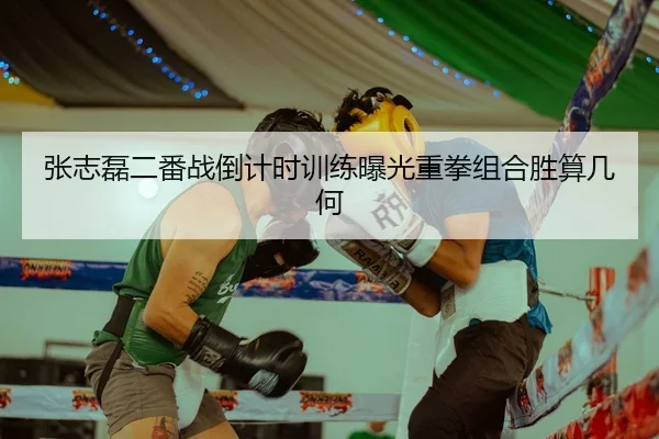 张志磊二番战倒计时训练曝光重拳组合胜算几何